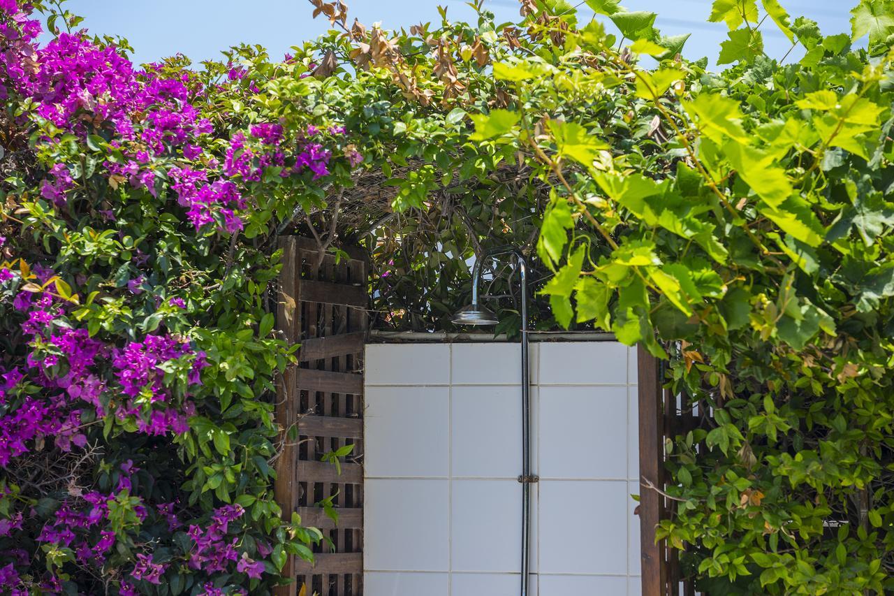 Villa Elias アヤナパ エクステリア 写真